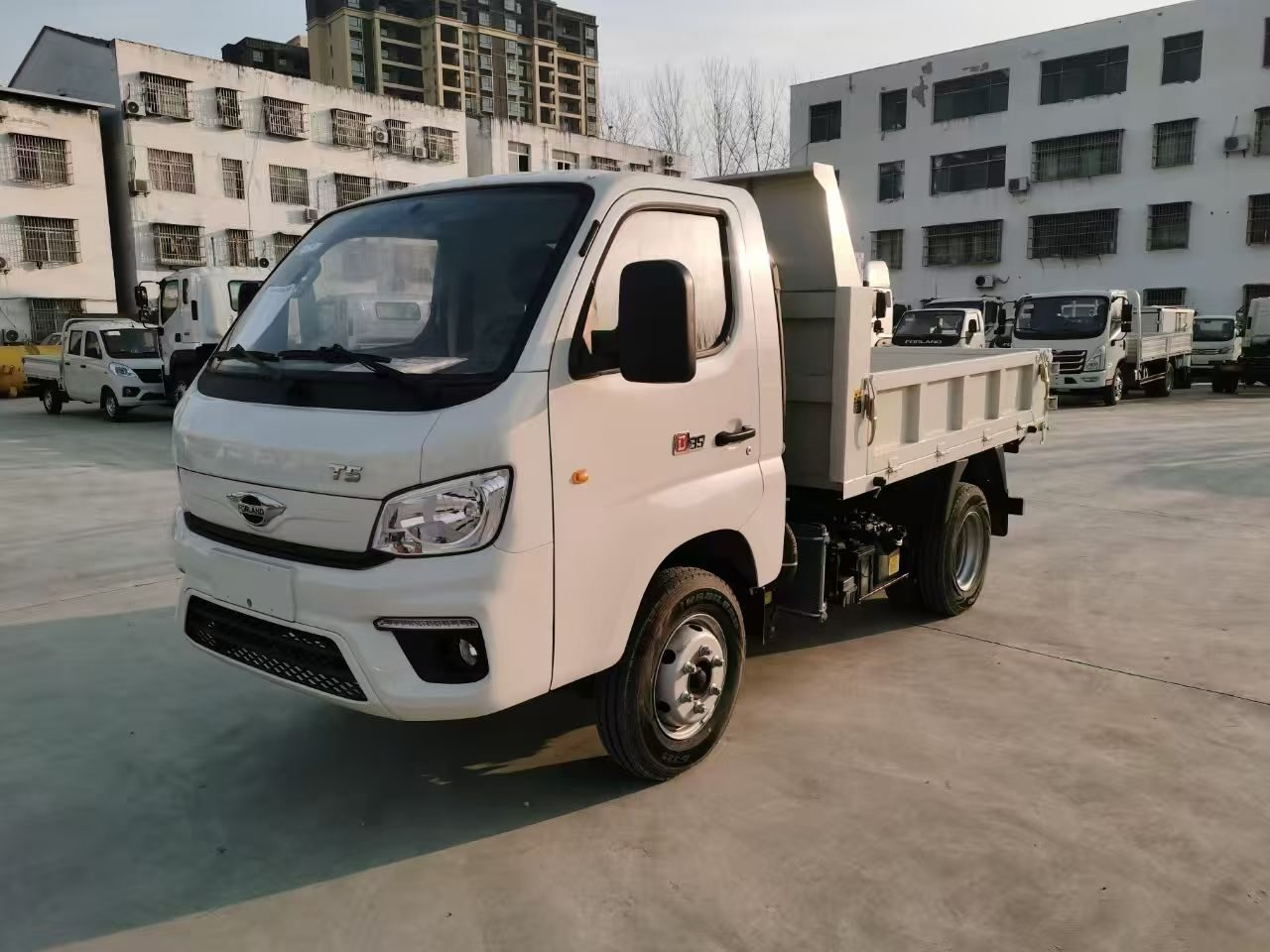 Foton Forland T5 mini dump truck in white, front three-quarter view with tipping body
