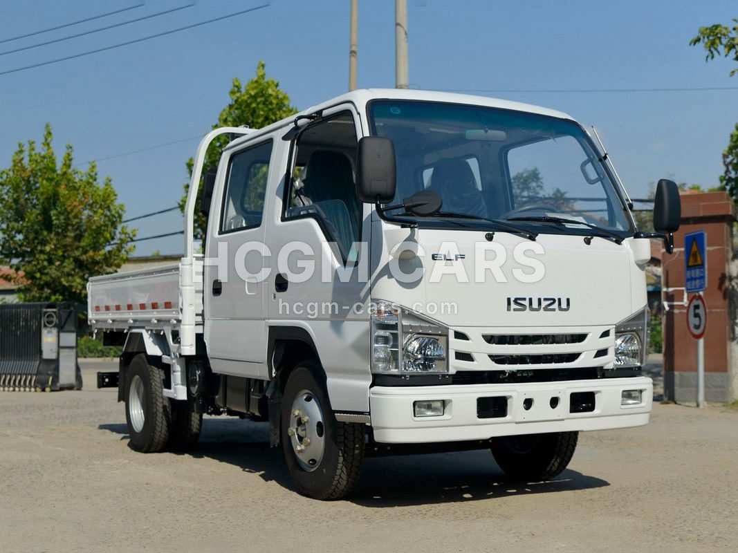 White Isuzu ELF 100P double-cab cargo truck, front three-quarter view